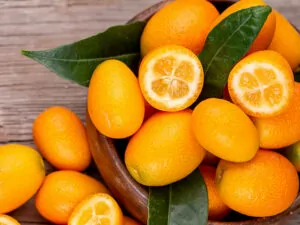 Marumi Kumquat