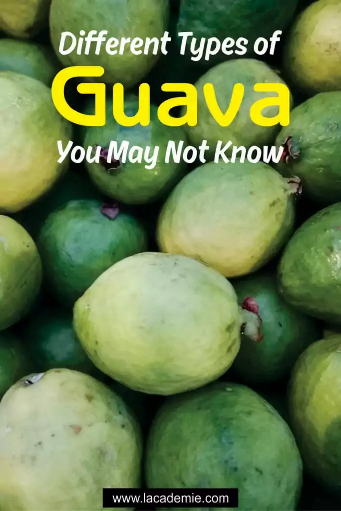 Types Of Guava