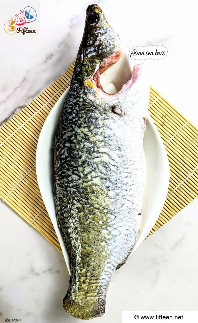 Asian Sea Bass