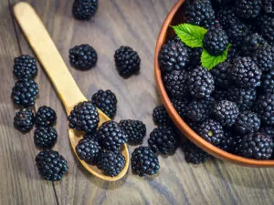 Ripe Blackberries Leaves Clay