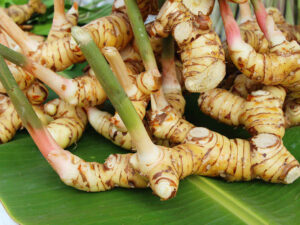 Fresh Galangal