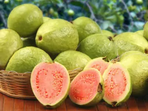 Guava Fruit