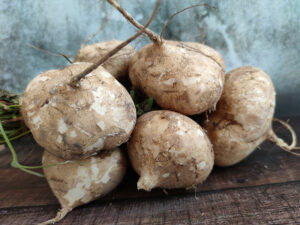 Jicama Starchy Root