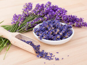 Lavender Flowers