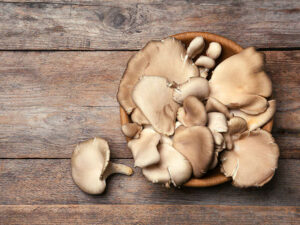 Oyster Mushroom