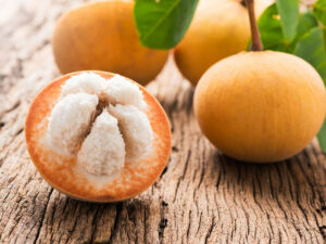 Santol Fruit