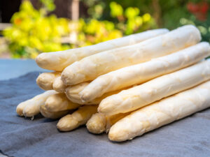 White Asparagus