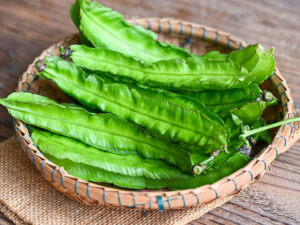 Winged Bean