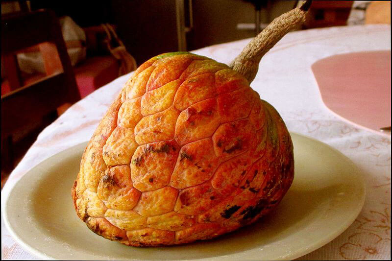 24 Fruits That Start With I: Common and Exotic Types