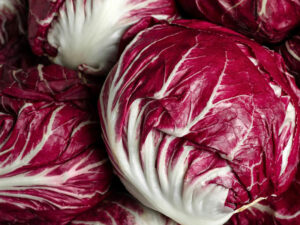 Radicchio