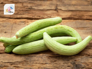 Armenian Cucumber