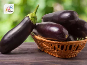 Aubergine