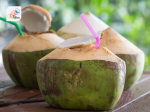 Bahamian Beverages Coconut Water