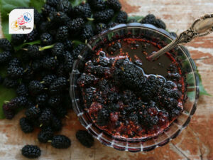 Black Mulberry