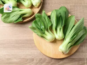 Bok Choy