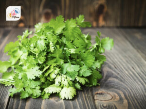 Coriander