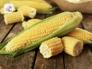 Corn