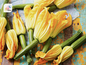 Courgette Flowers