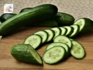 Cucumber