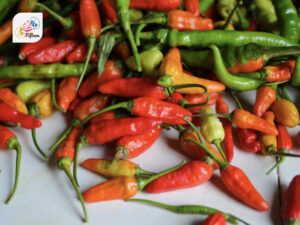 Datil Pepper