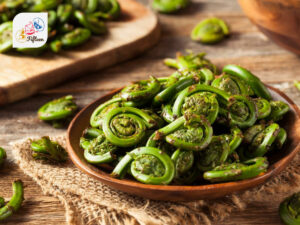 Fiddlehead