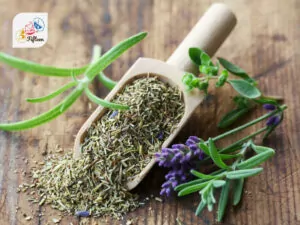 Herbes de Provence