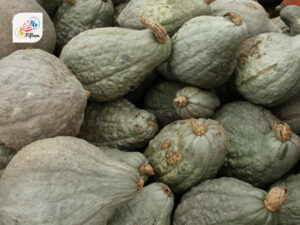 Hubbard Squash