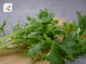 Japanese Mustard Greens