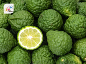 Kaffir Lime