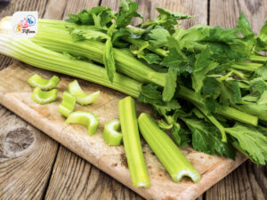 Leaf Celery