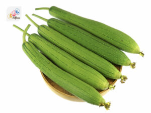 Luffa Gourd