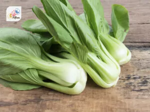 Pak Choi