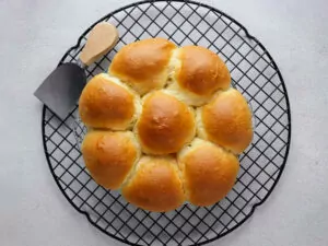 Pani Popo