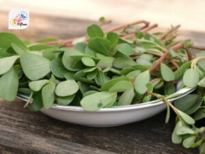 Purslane