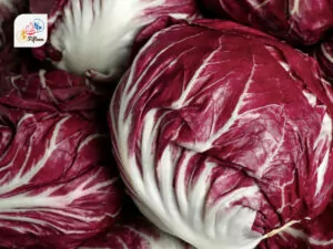 Radicchio