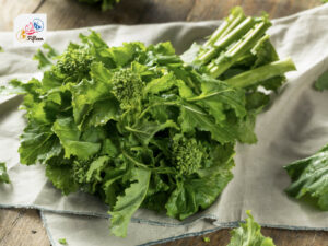 Rapini