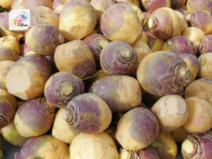 Rutabaga