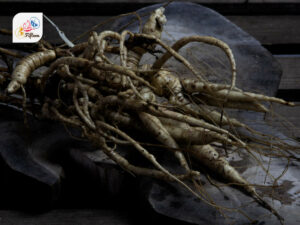 Skirret