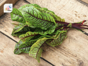 Sorrel