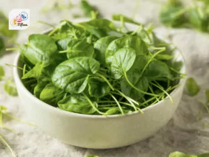 Watercress