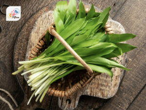 Wild Garlic