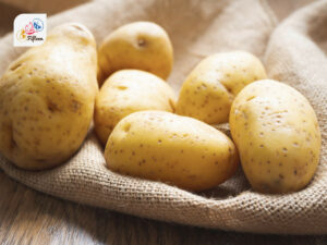 Yukon Gold Potato
