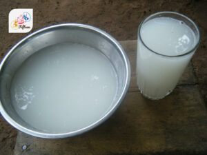 African Palm Wine