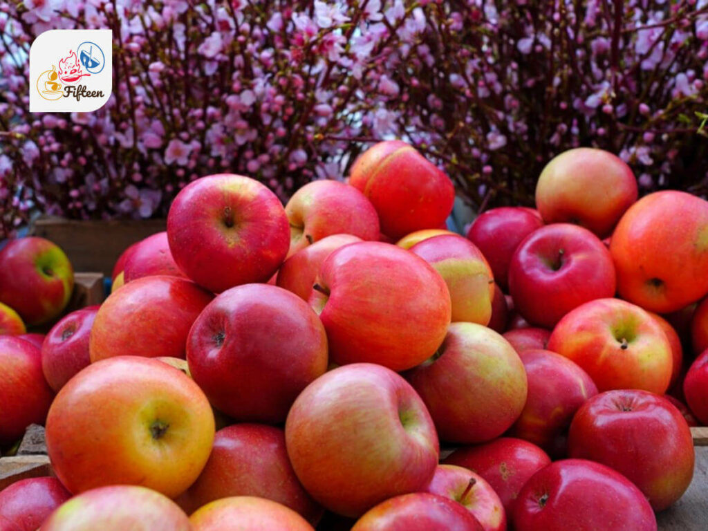 32 Common European Fruits Popular ContinentWide