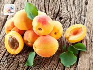 Apricot