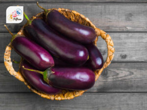 Eggplant