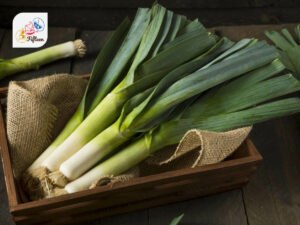 Leek