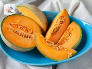 Melon