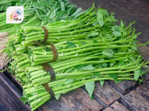 Water Spinach