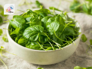 Watercress